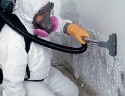 Trusted Middleburg, FL Mold Removal Services Experts